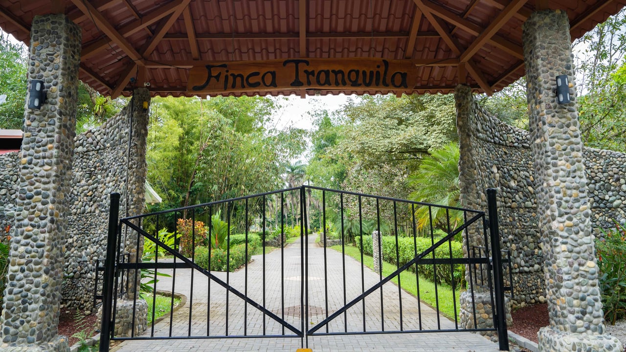 Stunning Tropical Home in Gated community with Hundreds of fruit trees  