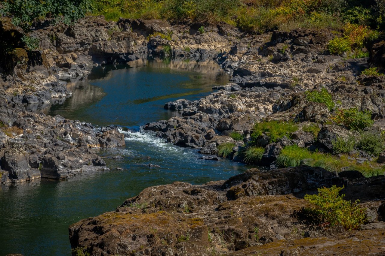 Nehalem River in the summer