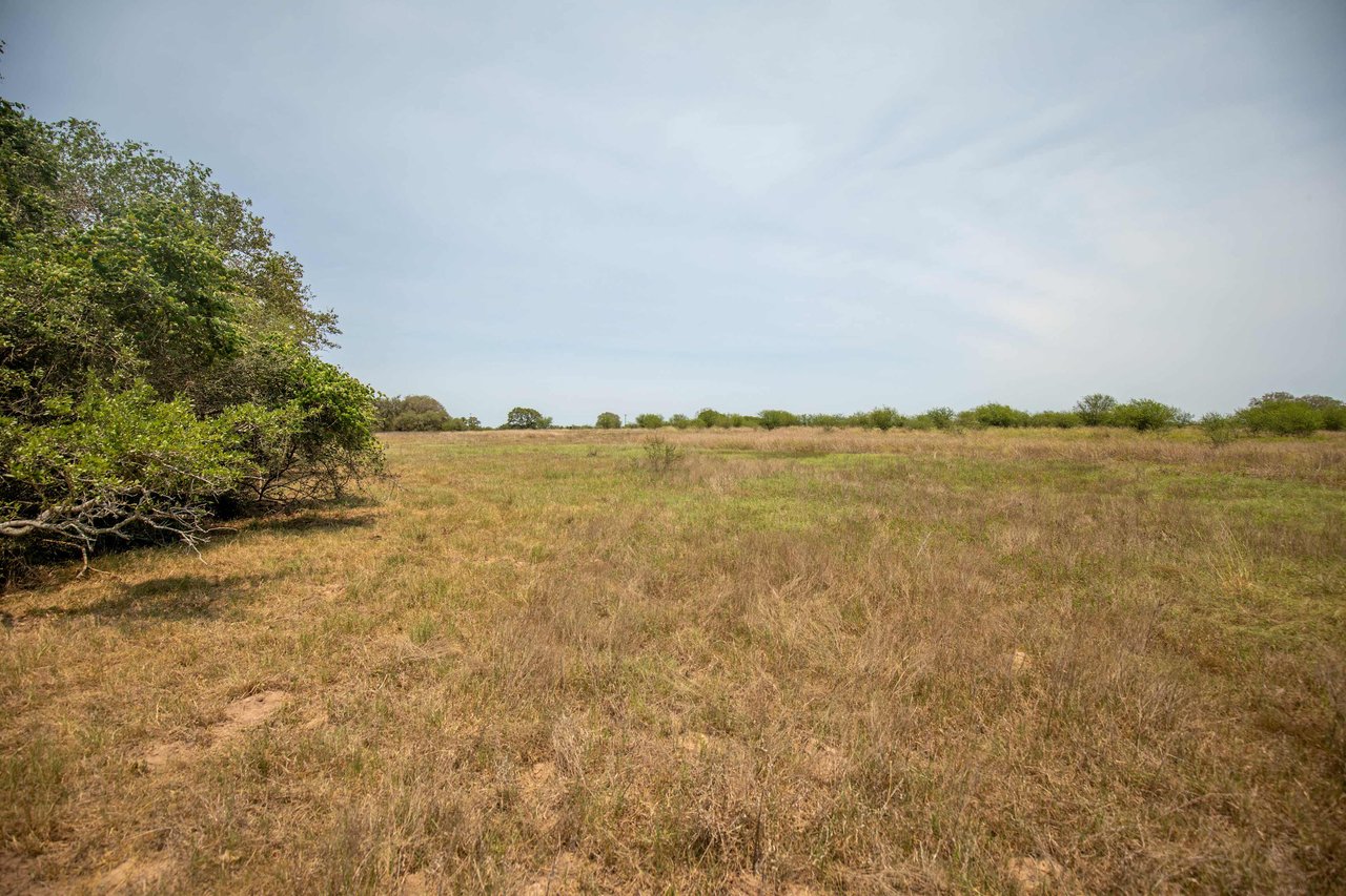 Green DeWitt Rd | 40.82± Acres | DeWitt County