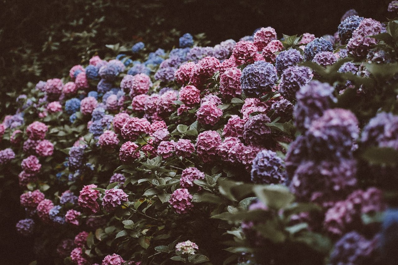Yard & Garden Prep
