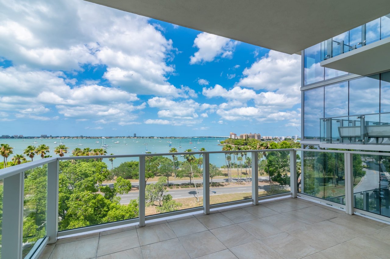 Introducing 624 Palm #5 