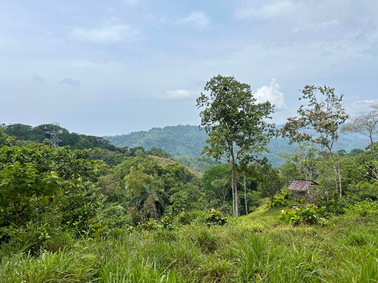 Over 76 Acres in Hatillo Overlooking Playa Linda