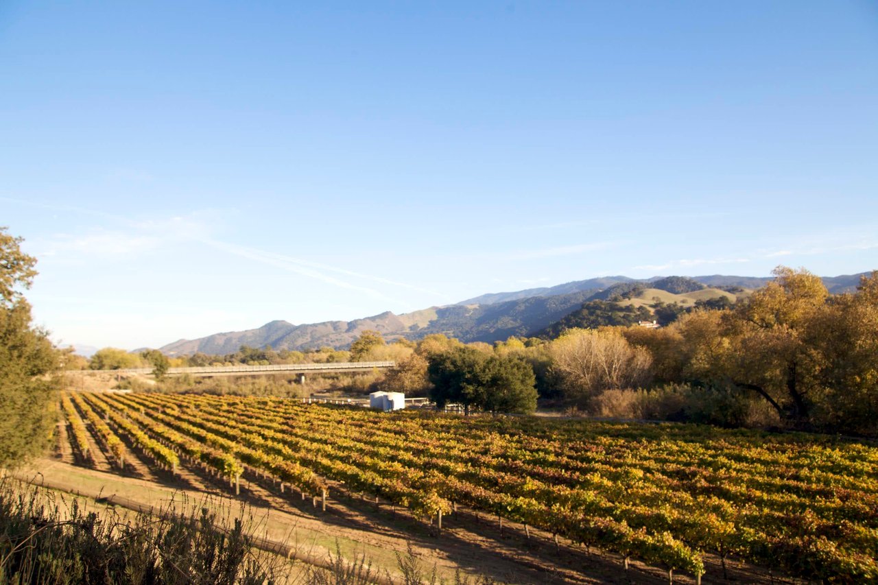 Santa Barbara Getaways - Santa Ynez Valley