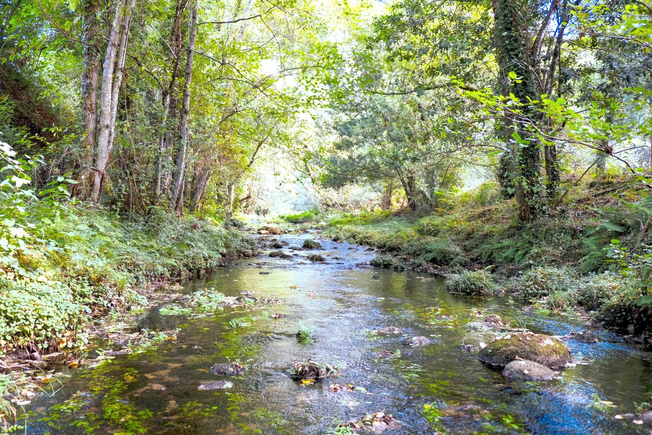 North Austin / Spicewood Springs / Great Hills / Hyde Park