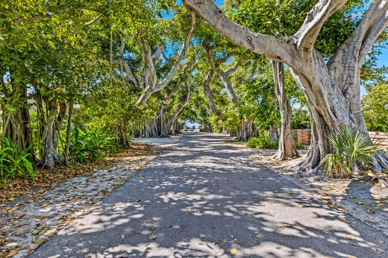 Welcome to Paradise: My Favorite Things to Do in Boca Grande