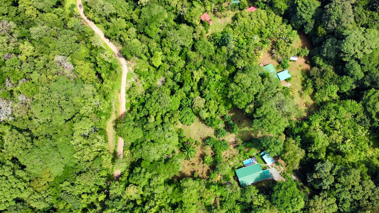 Secret Paradise Property in Altos de la Colonia