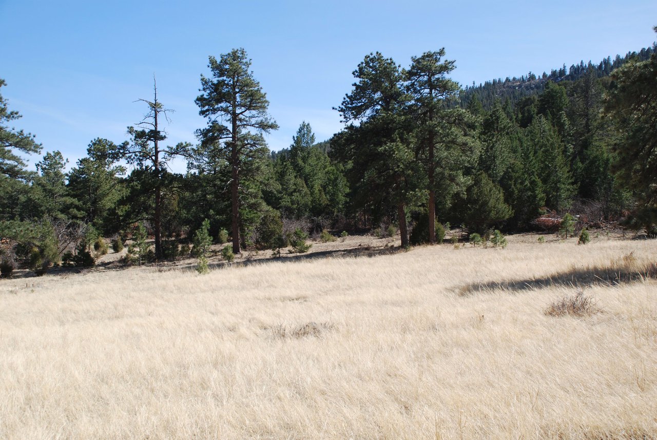 Elk Mountain Ranch