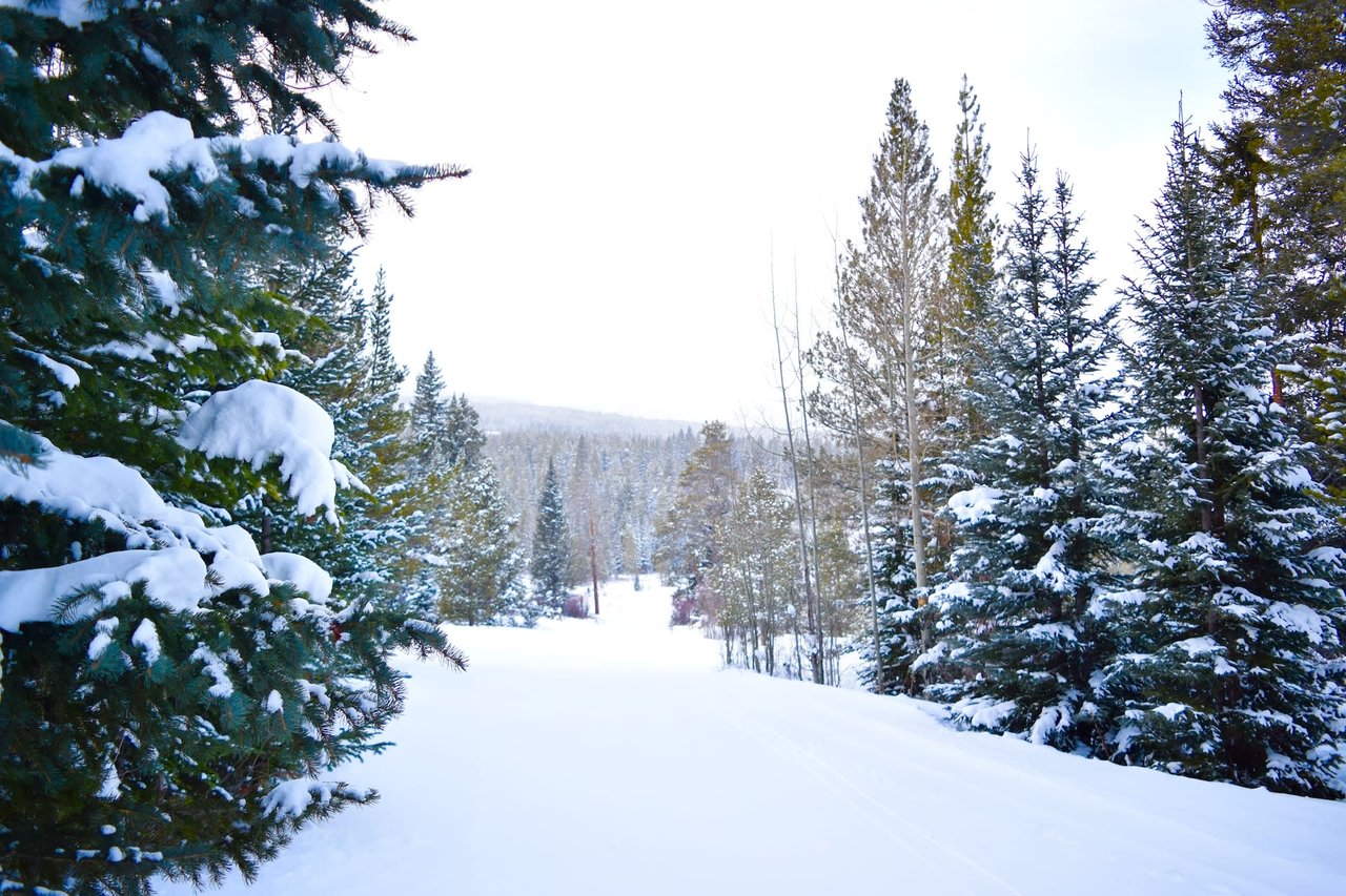 Tiger Run Resort