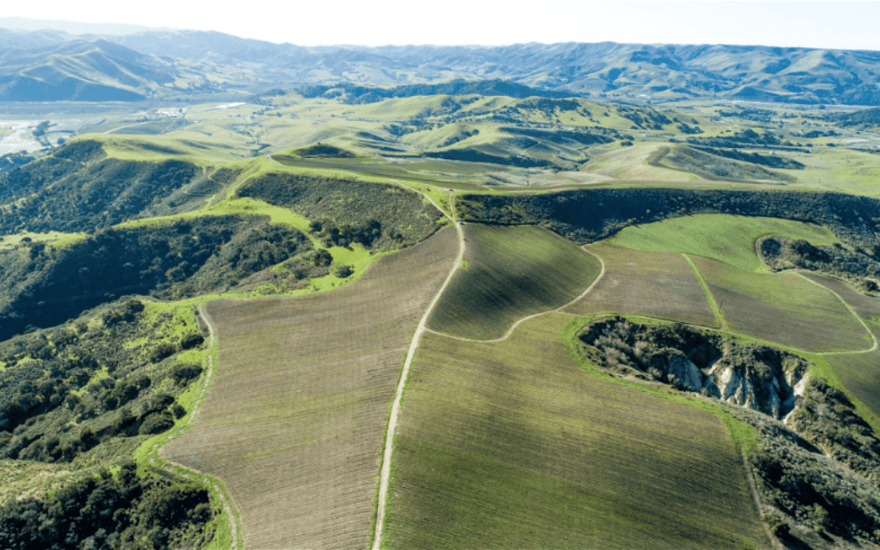 Insider Tips As of May, 2019