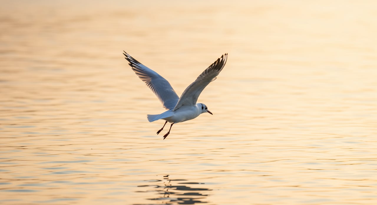 Waterfowl Festival Virtual Art Gallery