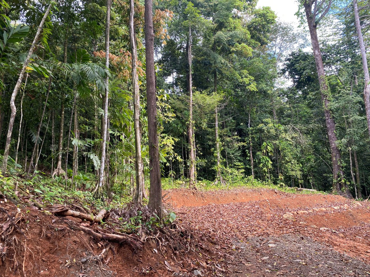 5.77 Acres With 4 Building Sites. Ocean Views, Rivers And Rainforest Abound In Cinco Ventanas! Ojochal 
