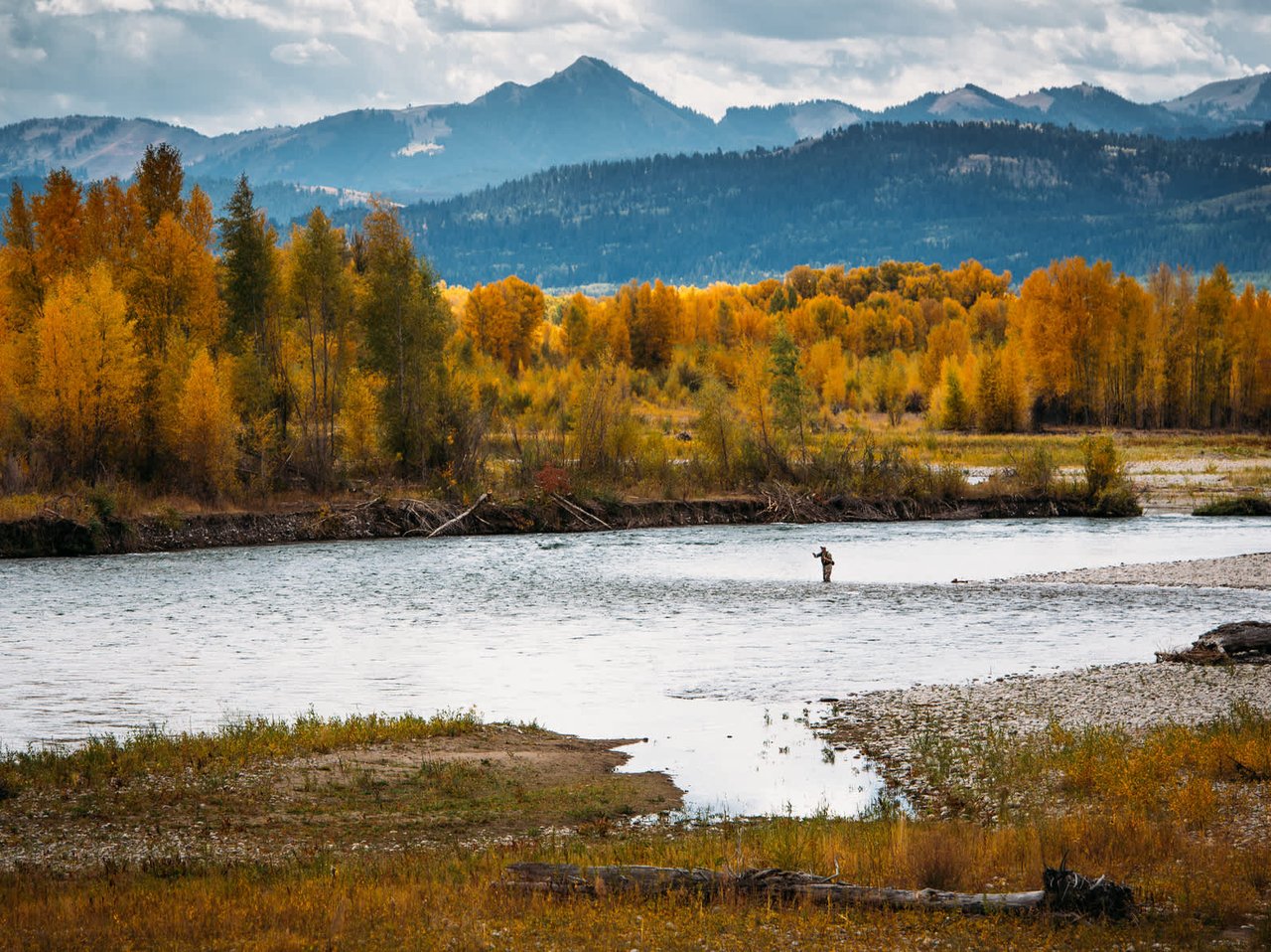 Scenic autumn image of a person fly fishing while wading in a river.