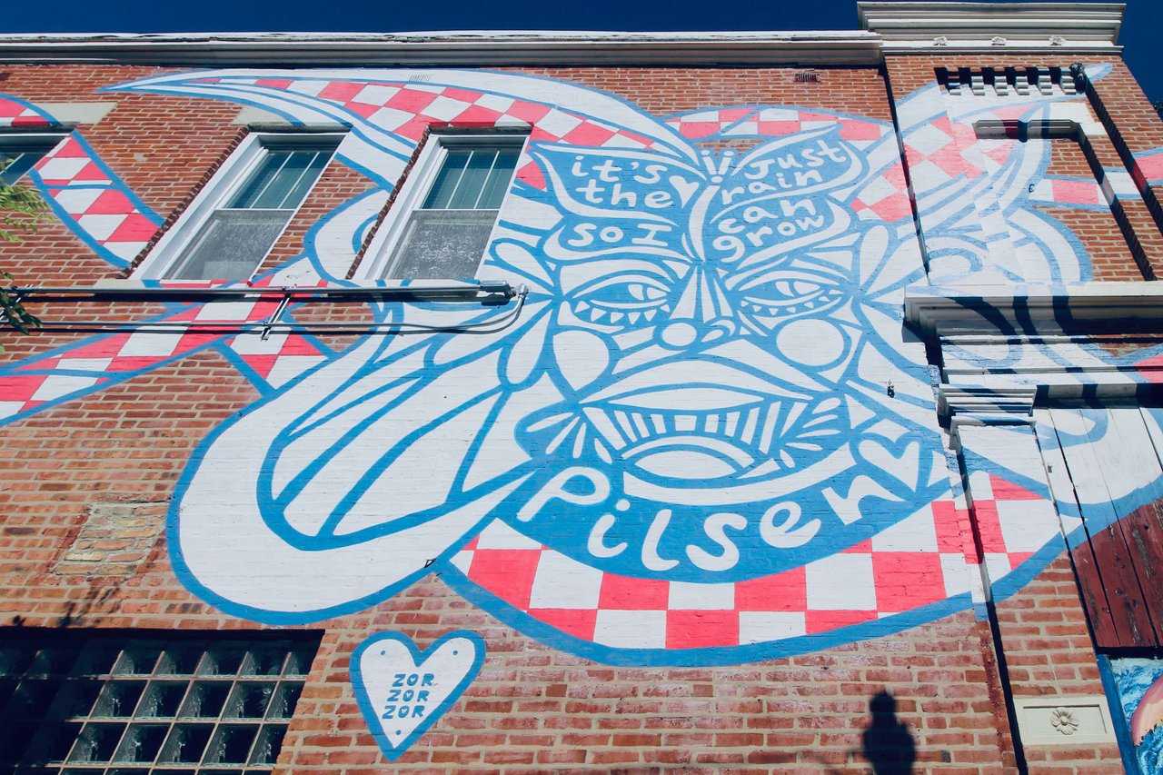 Pilsen & Lower West Side