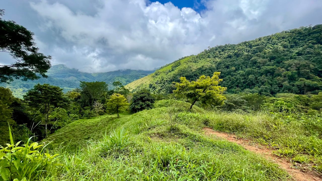 Over 123 Acres Farm in San Josecito De Morete, in Uvita Mountains