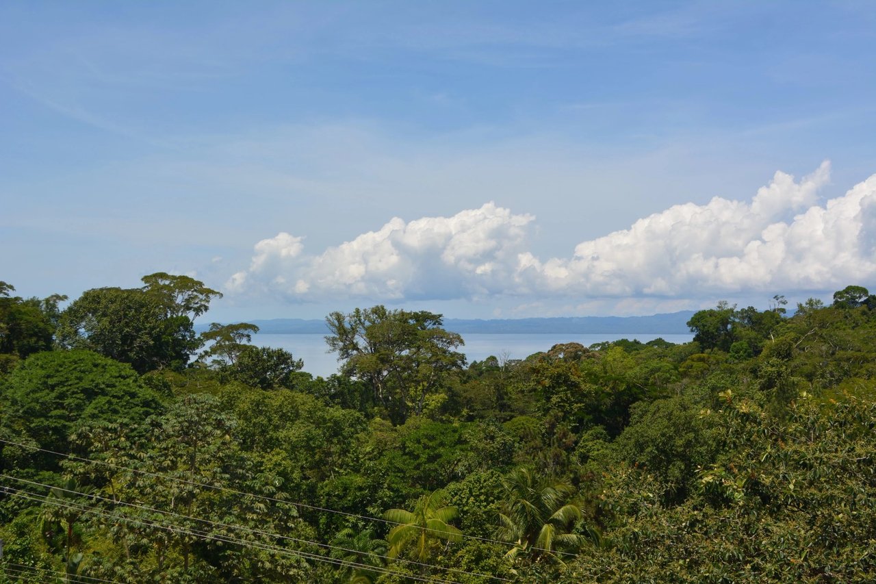 Expansive Ocean View Development Land, Osa, Puntarenas