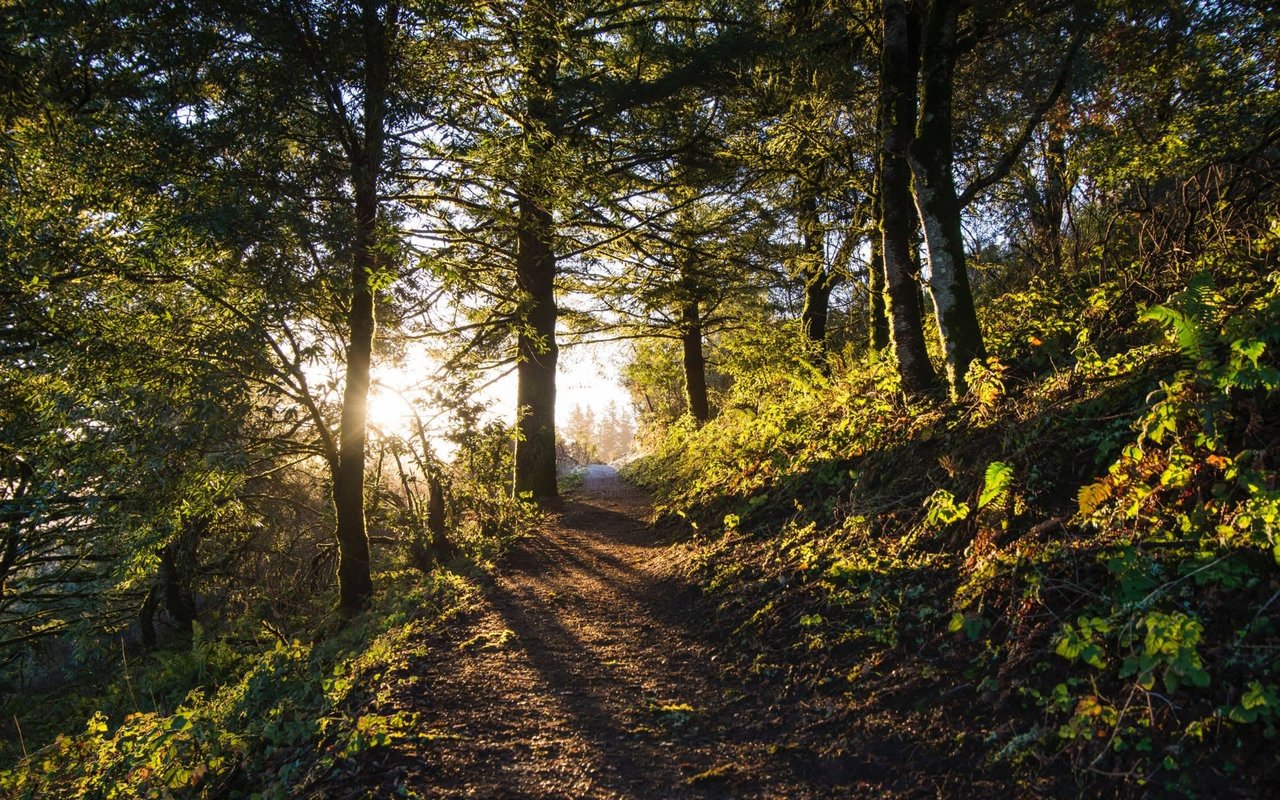 PORTOLA VALLEY