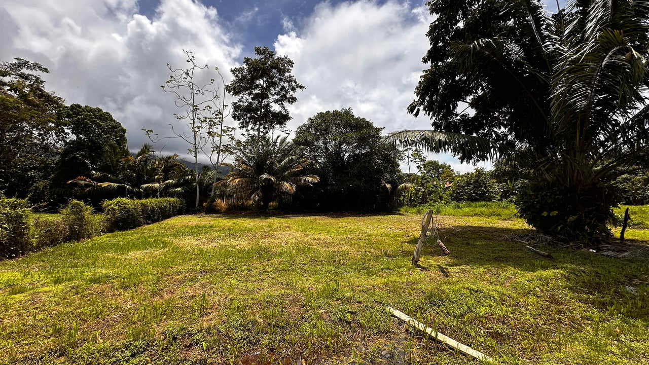 Beach Area Lot in Quiet Corner on Uvita Bahia