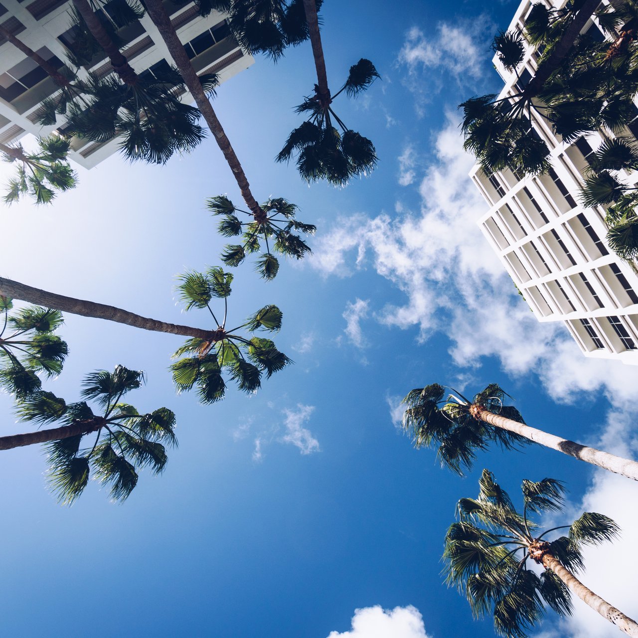 Miami continues to solidify itself as important financial hub
