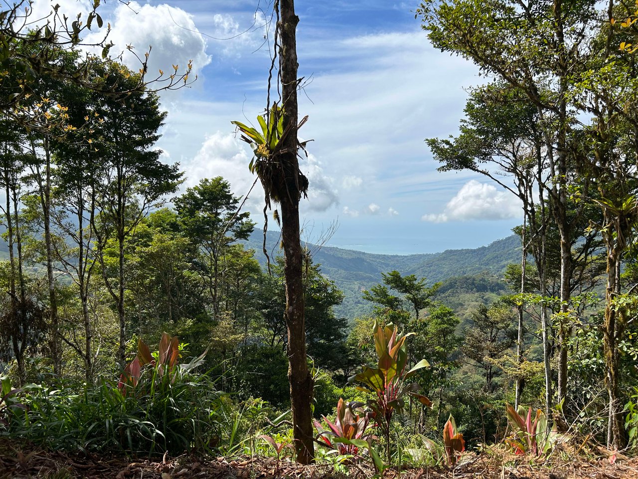 Whale Tail, Ocean & Mountain View lot in San Luis.
