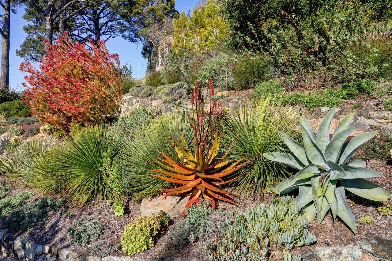 Extraordinary Tiburon Sanctuary