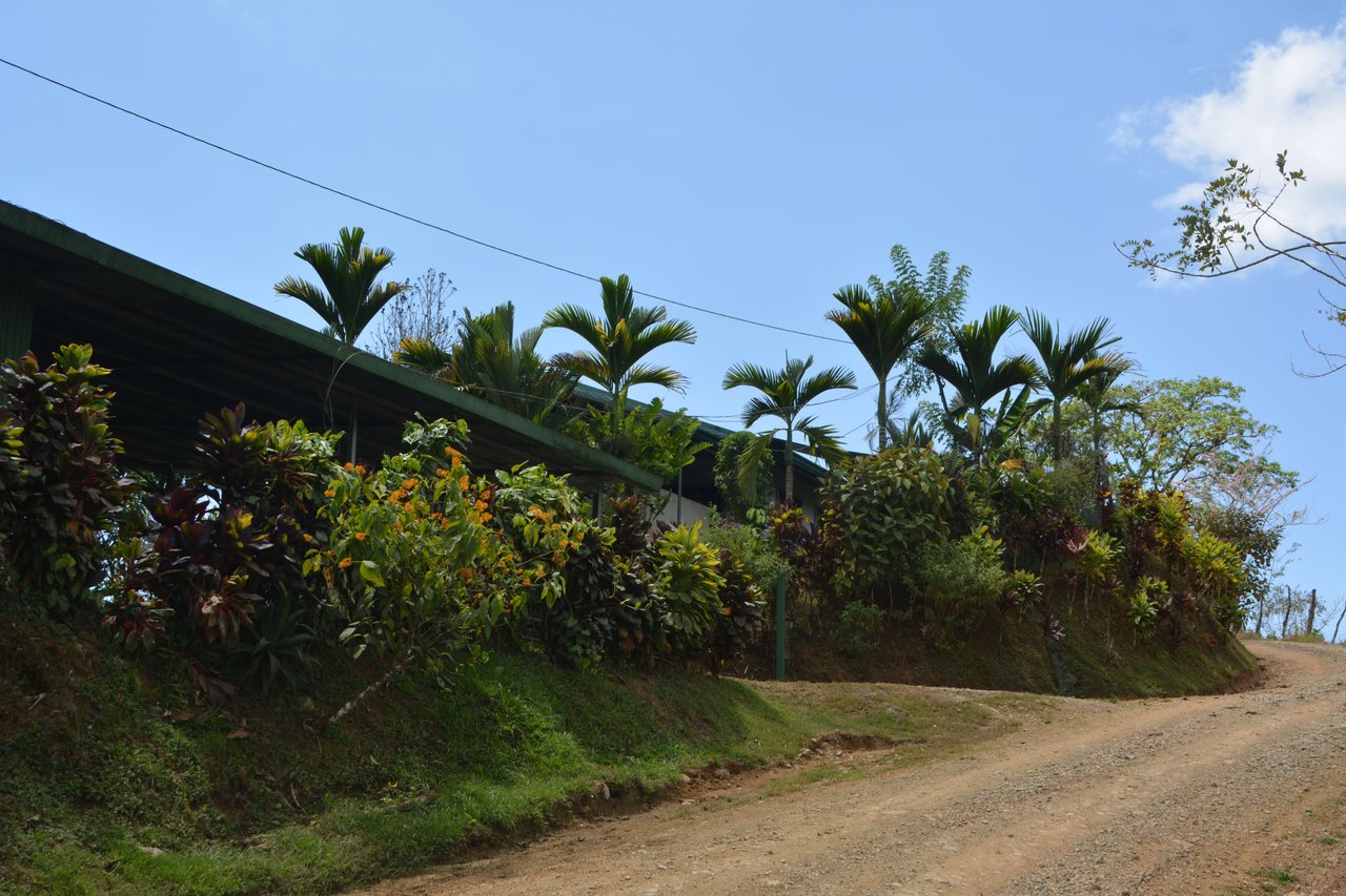 Quiet 3 Bedroom Home On 25 Acres