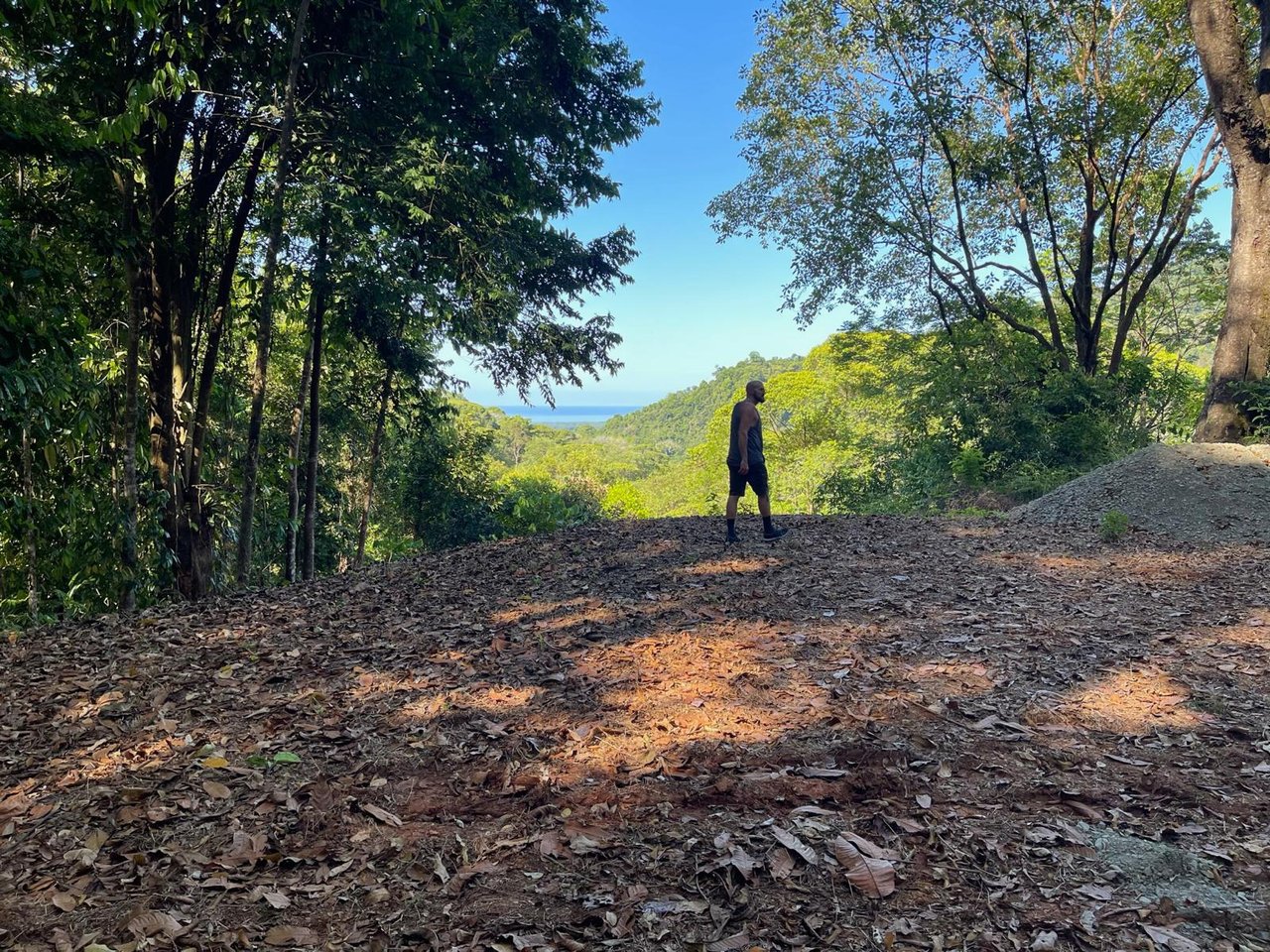Tranquil Paradise in Portasol Gated Community, Lot C11, Portalon, Costa Rica