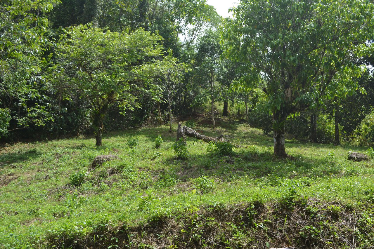 42 Acres With Waterfalls, Ocean Views & Multiple Building Sites Sliencio Ariba