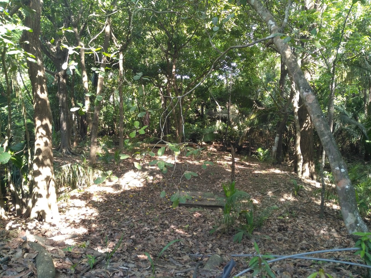 Private Secluded Beachfront Lot, Santa Teresa, Puntarenas
