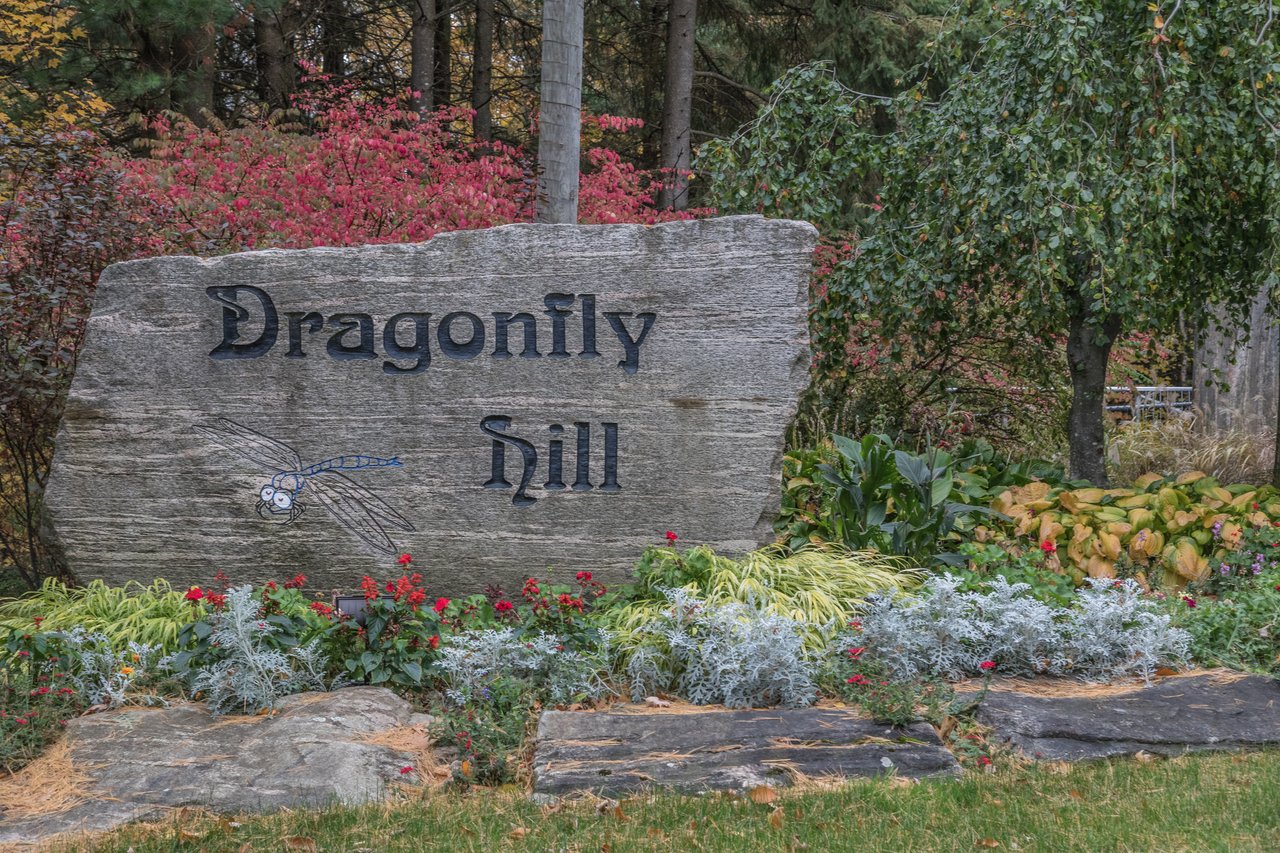 SOLD; Grand 'Dragonfly Hill' Estate