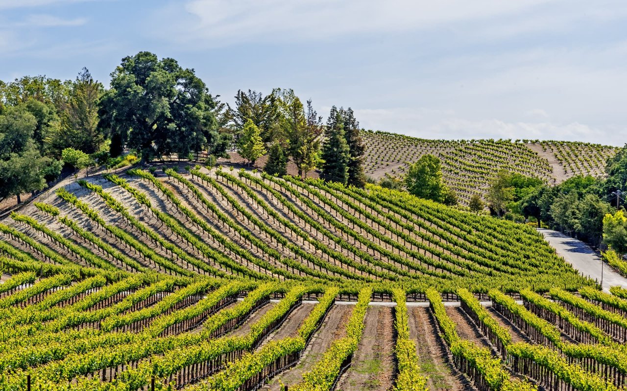 Falling in Love with Sonoma County: Five Reasons to Embrace the Charm