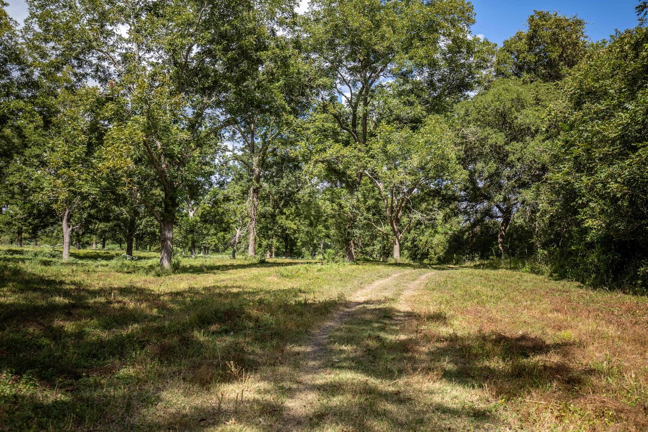 Lovers Lane River Ranch | 140± Acres | DeWitt County