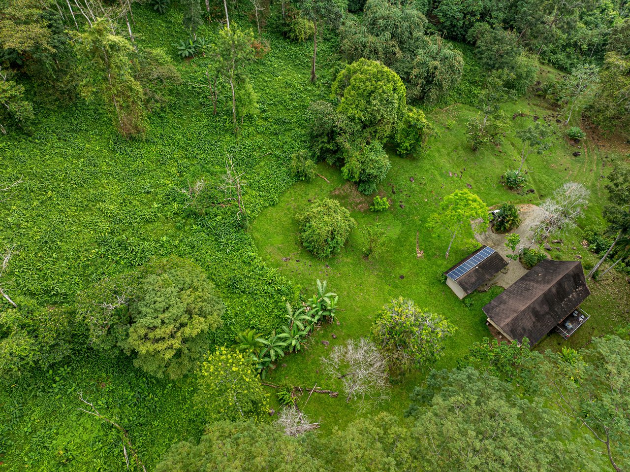 Embrace Harmony in Nature on 12 Acres of Mountain and Ocean view Serenity