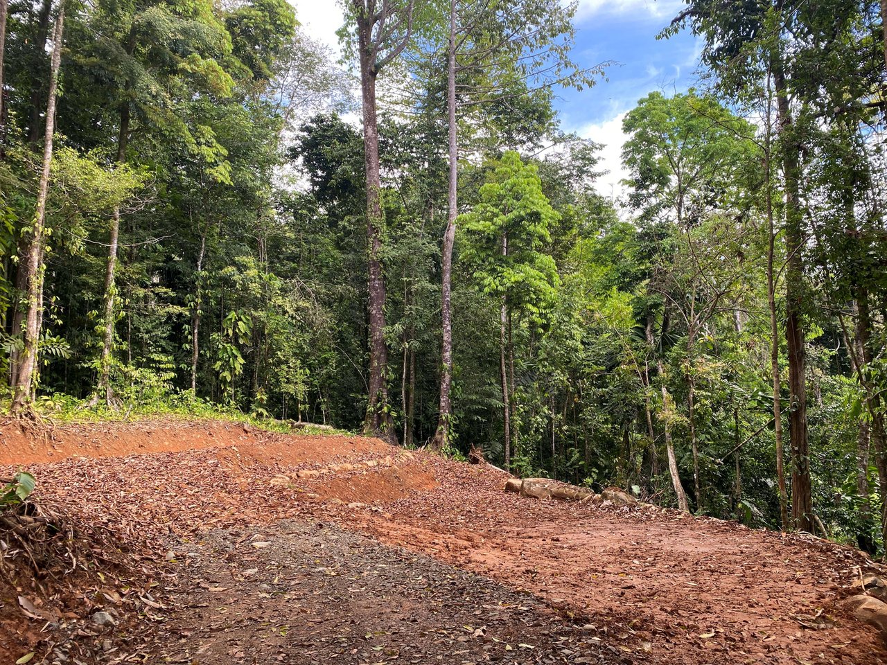 5.77 Acres With 4 Building Sites. Ocean Views, Rivers And Rainforest Abound In Cinco Ventanas! Ojochal 