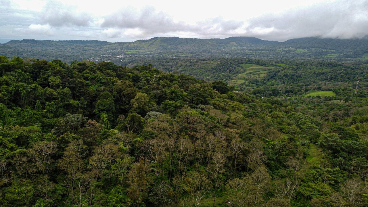 Bosque Bijagua | Prime Forest Land for Sale Near Bijagua, Costa Rica!