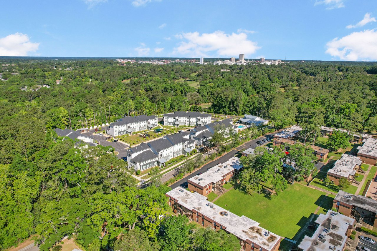 Another aerial view of the South City neighborhood, showing houses, trees, and streets.