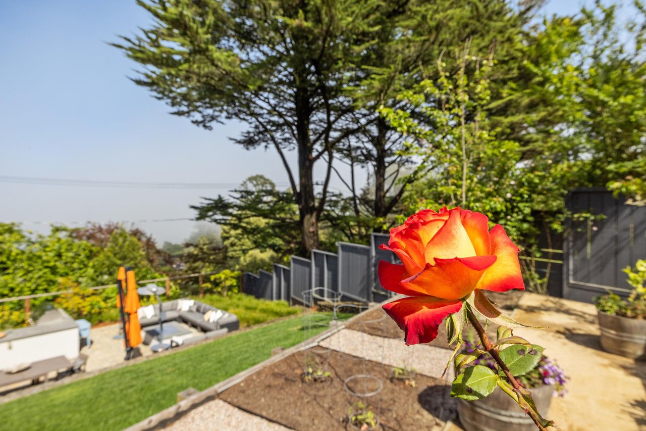 10 Secrets to Buy a Home in Mill Valley