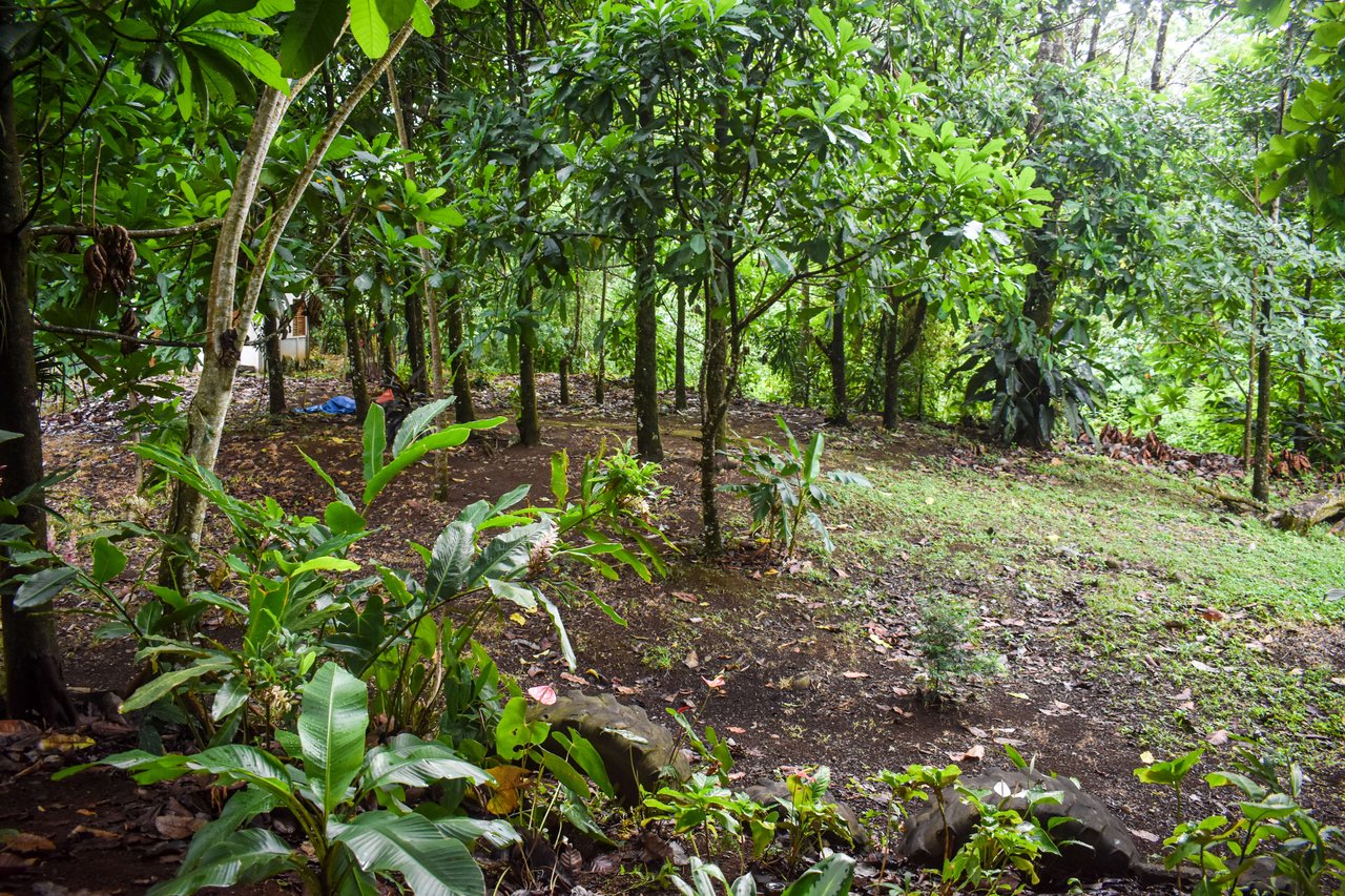 Casa Colibri with two small apartments | Bordered by the Bijagua River and Bijagua Creek.