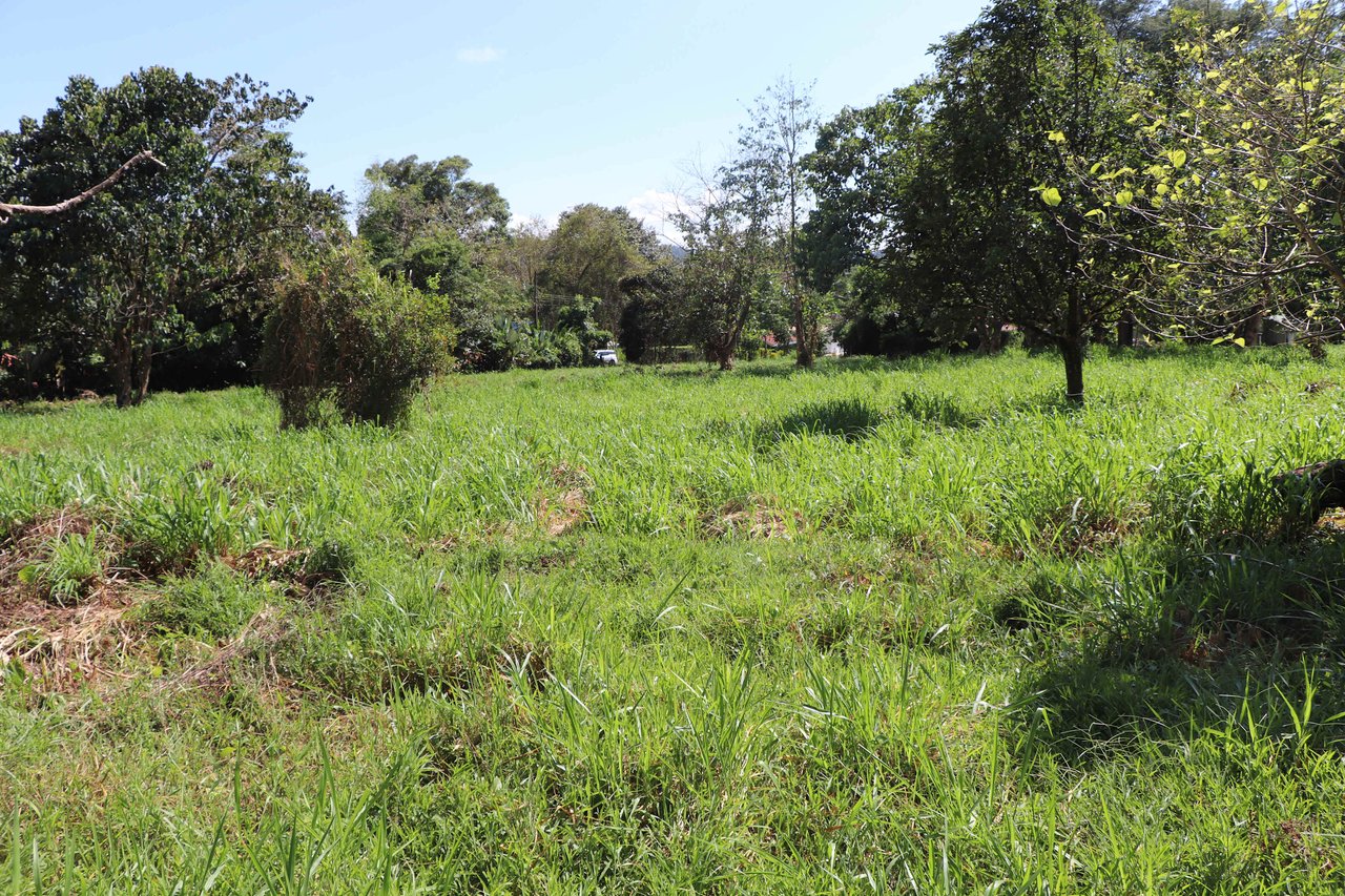 Over 3 Acres, Mountain View Lot in the Heart of Ojochal, Ready for Development!.