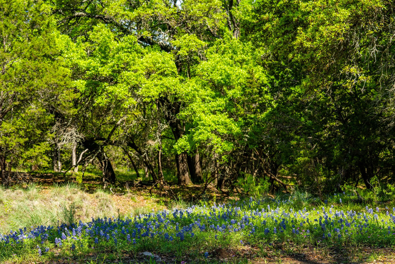 Cuatro Colinas Ranch