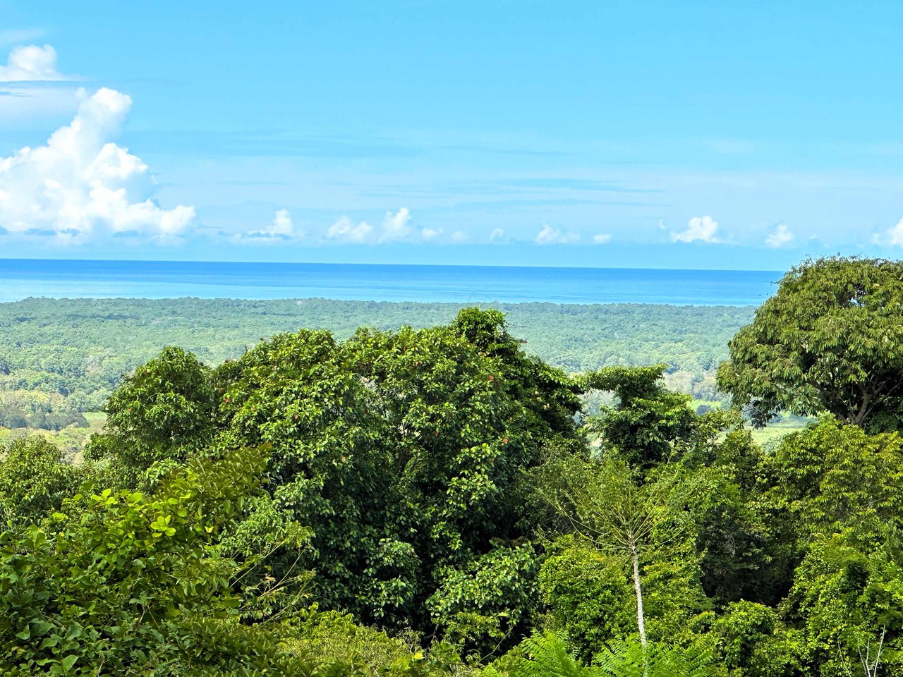 2 Acres Property with 360 Panoramic Views!