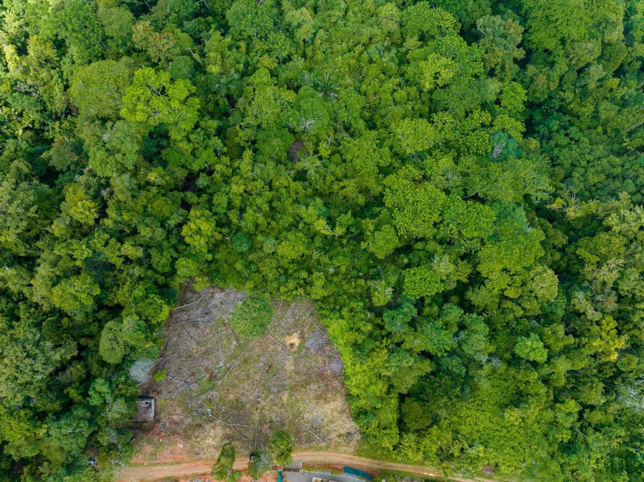 Rare Opportunity: Pristine 16-Acre Oceanview Sanctuary for Exclusive Development in Uvita
