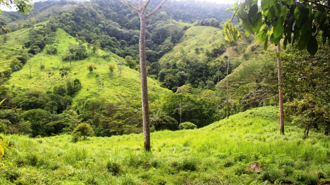Waterfall Riverfront View Land, Uvita, Puntarenas