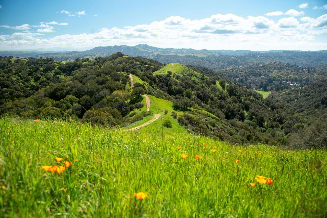  Lamorinda