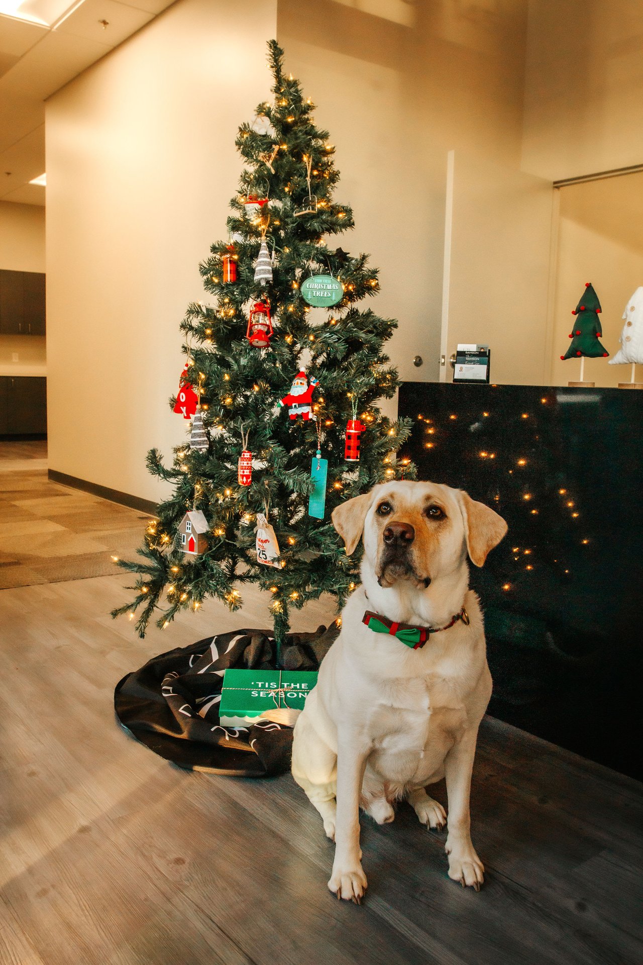 Christmas in Richmond, Virginia