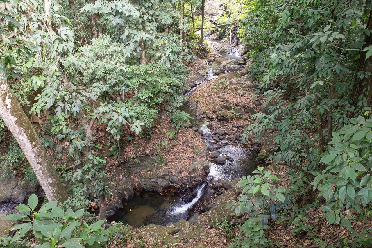 Waterfall Beachfront Estate, Osa, Puntarenas