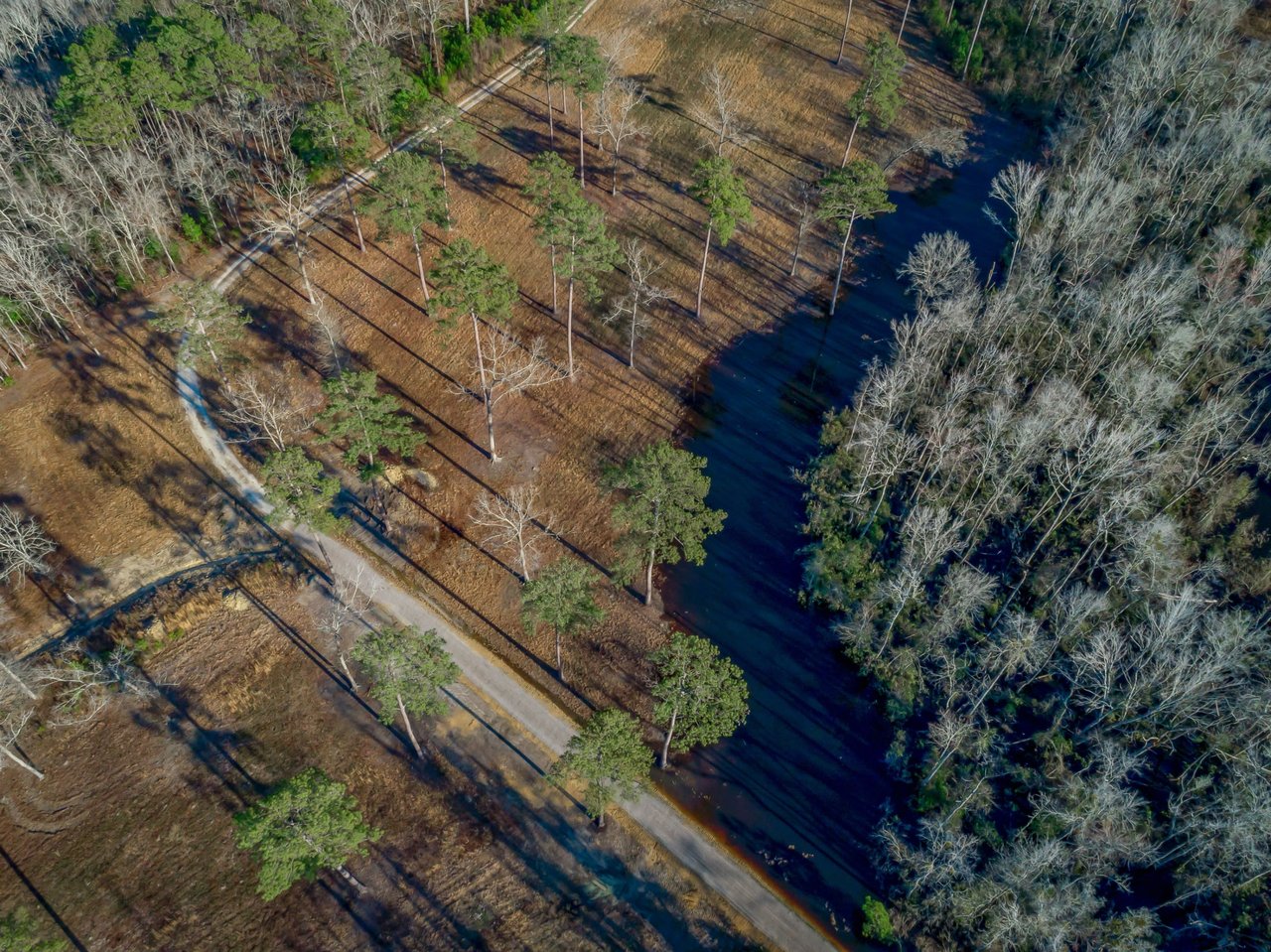 Boykin Farm