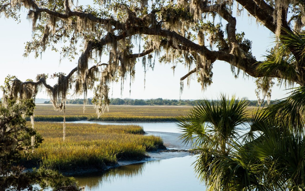Fall in the Lowcountry of SC