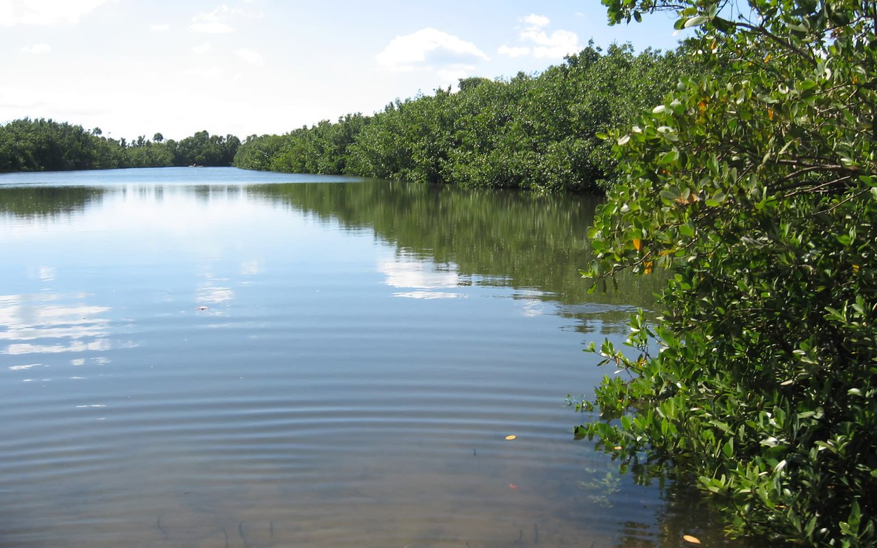 Hiking Near Fort Lauderdale