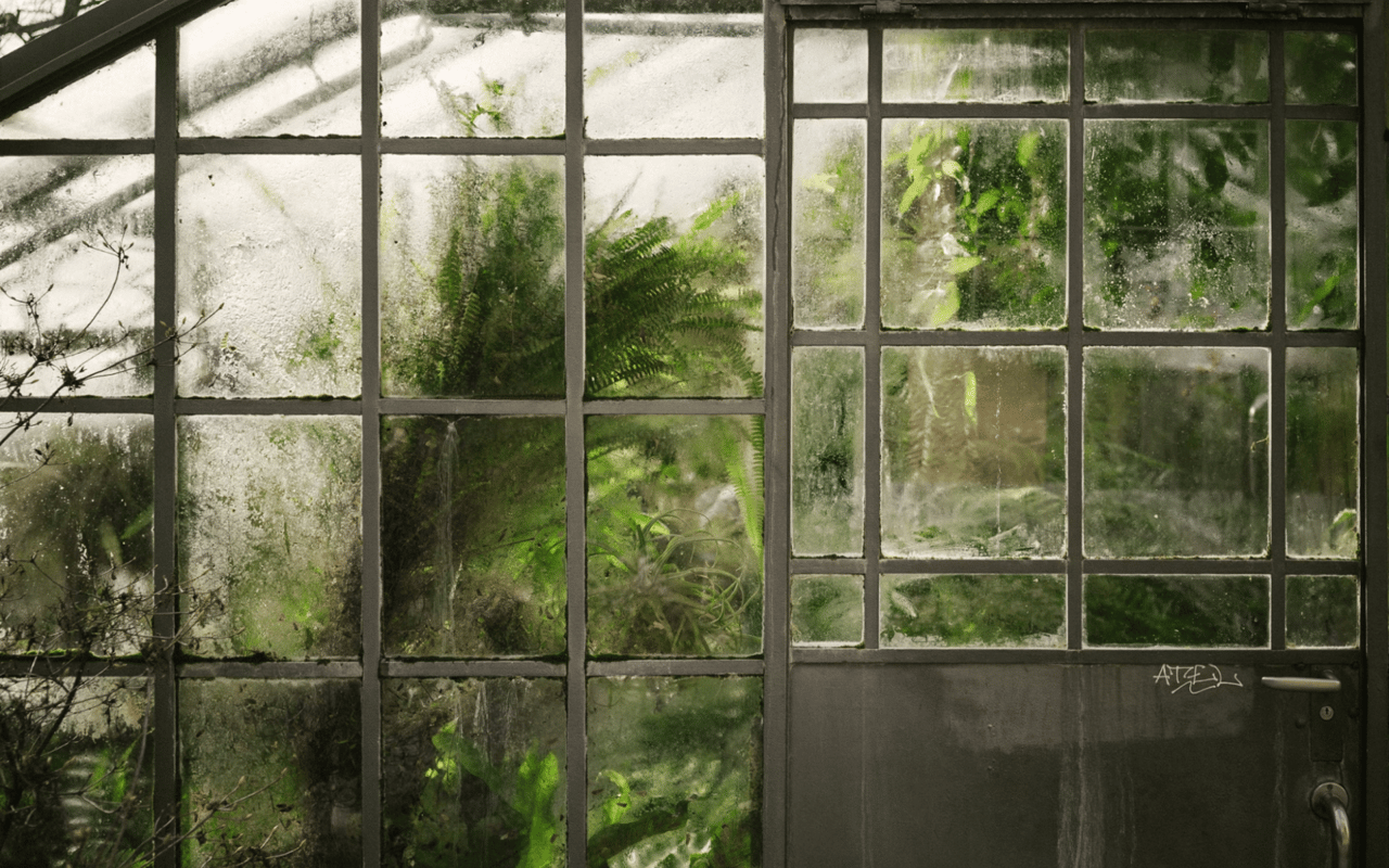 Bozeman's Winter Bounty: Farmers' Markets and Community-Supported Agriculture