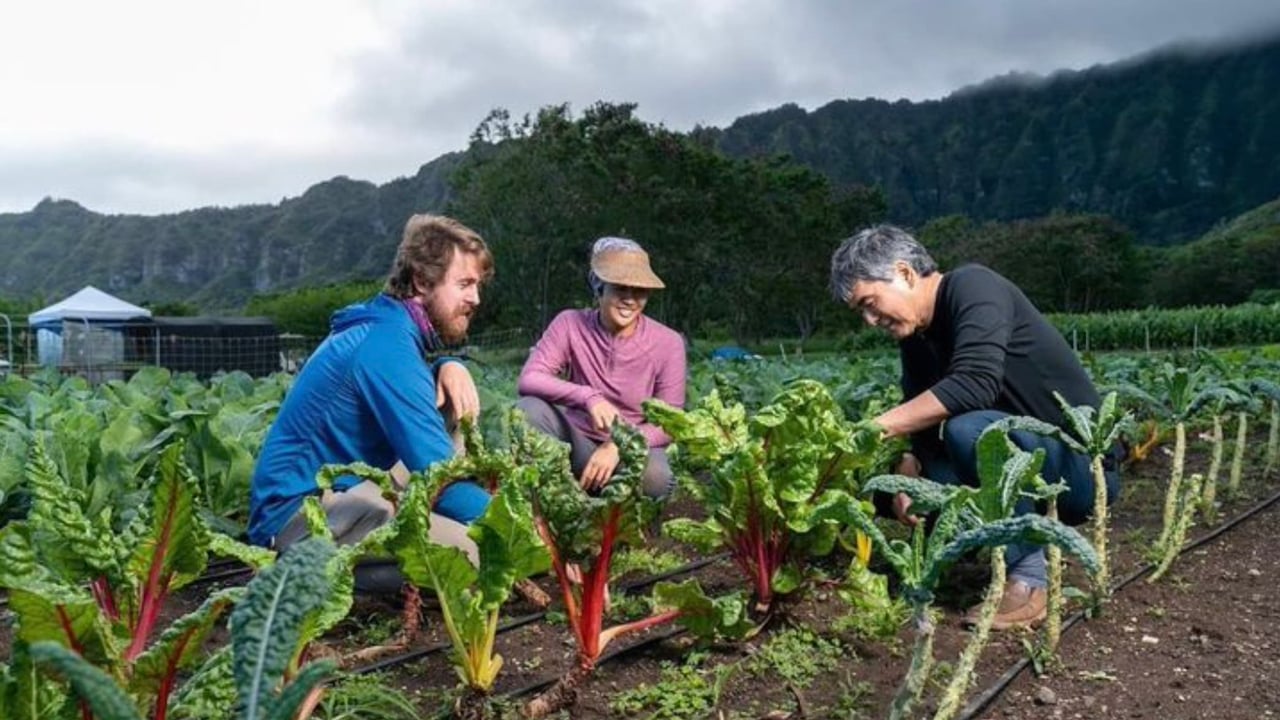 Tasty Tips: Farmer’s Markets